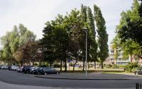 Beeld 17, klik om te vergroten