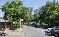 Beeld 6, klik om te vergroten