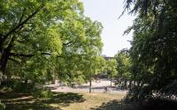 Beeld 12, klik om te vergroten