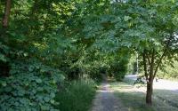 Beeld 6, klik om te vergroten