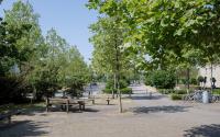 Beeld 7, klik om te vergroten