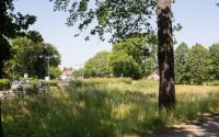 Beeld 17, klik om te vergroten