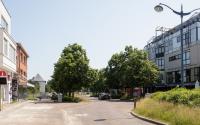Beeld 19, klik om te vergroten