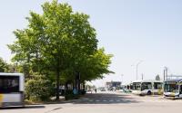 Beeld 23, klik om te vergroten