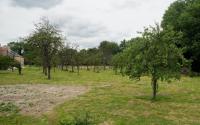 Beeld 10, klik om te vergroten
