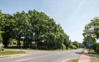 Beeld 7, klik om te vergroten
