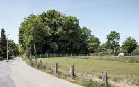 Beeld 19, klik om te vergroten