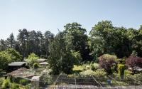 Beeld 22, klik om te vergroten
