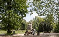 Beeld 21, klik om te vergroten