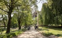 Beeld 9, klik om te vergroten