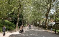 Beeld 10, klik om te vergroten