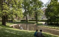 Beeld 13, klik om te vergroten