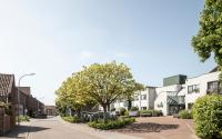Beeld 11, klik om te vergroten
