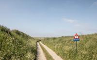 Beeld 15, klik om te vergroten