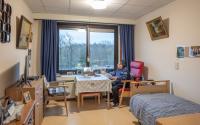 Beeld 16, klik om te vergroten