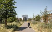 Beeld 10, klik om te vergroten