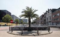 Beeld 19, klik om te vergroten