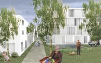 Beeld 1, klik om te vergroten
