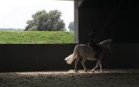 Beeld 1, klik om te vergroten