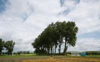 Beeld 6, klik om te vergroten