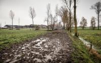 Beeld 2, klik om te vergroten