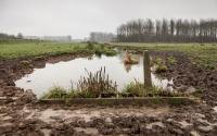 Beeld 3, klik om te vergroten