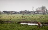 Beeld 4, klik om te vergroten