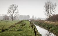 Beeld 5, klik om te vergroten
