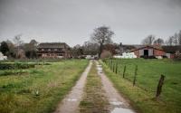 Beeld 5, klik om te vergroten