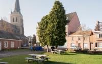 Beeld 11, klik om te vergroten