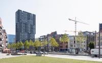 Beeld 10, klik om te vergroten