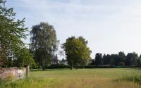 Beeld 6, klik om te vergroten