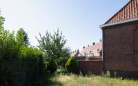 Beeld 15, klik om te vergroten