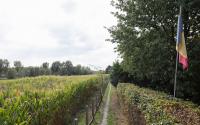 Beeld 11, klik om te vergroten