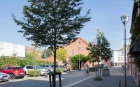Beeld 6, klik om te vergroten