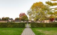 Beeld 11, klik om te vergroten