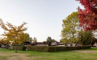 Beeld 10, klik om te vergroten