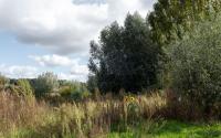 Beeld 12, klik om te vergroten