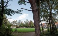 Beeld 18, klik om te vergroten