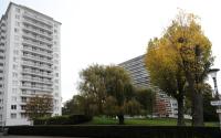 Beeld 5, klik om te vergroten