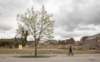 Beeld 7, klik om te vergroten