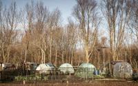 Beeld 2, klik om te vergroten