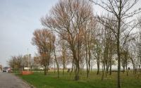 Beeld 4, klik om te vergroten