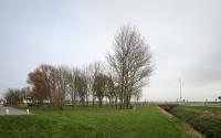 Beeld 5, klik om te vergroten