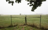 Beeld 7, klik om te vergroten