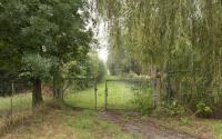 Beeld 10, klik om te vergroten