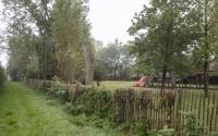 Beeld 11, klik om te vergroten