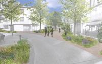 Beeld 4, klik om te vergroten