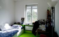 Beeld 10, klik om te vergroten