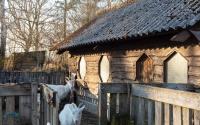 Beeld 12, klik om te vergroten